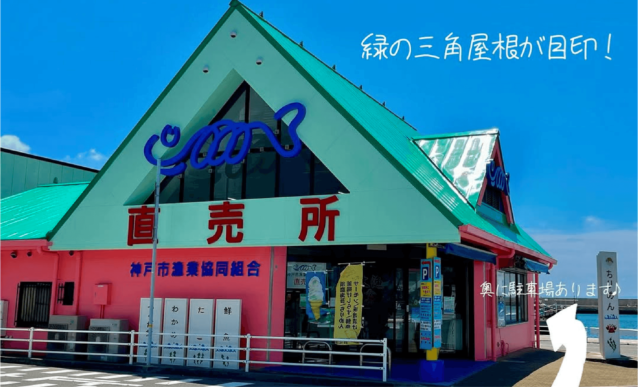 神戸市漁協 外観